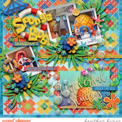 Sponge Bob