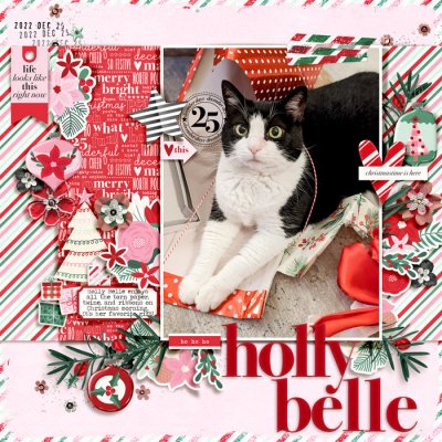 Ho Ho Ho Holly Belle