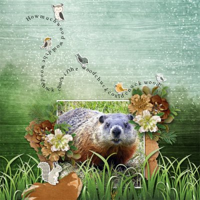 Woodchuck
