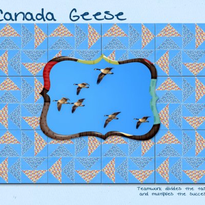 Canada Geese
