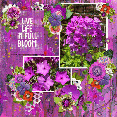 Colour