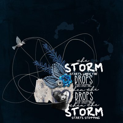 The Storm
