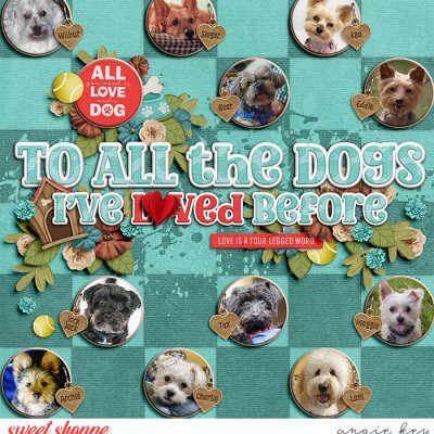 To All The Dogs I've Loved Before
