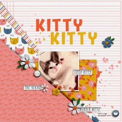 kitty kitty