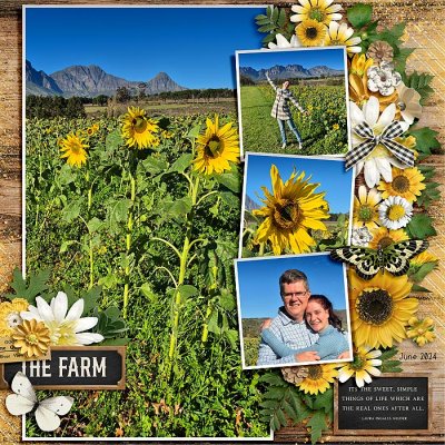 Sunflowers