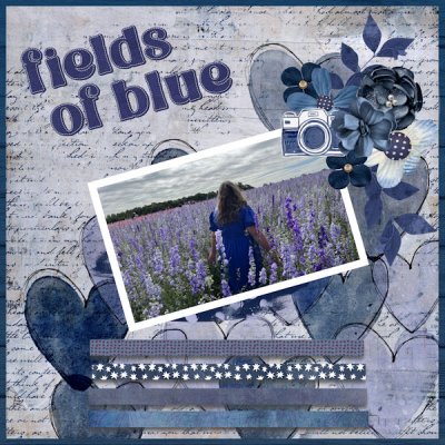 Fields of Blue