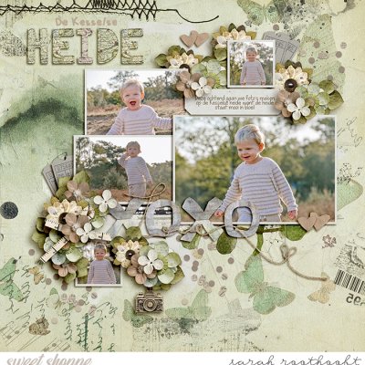 De Kesselse Heide