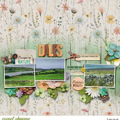 The Dales