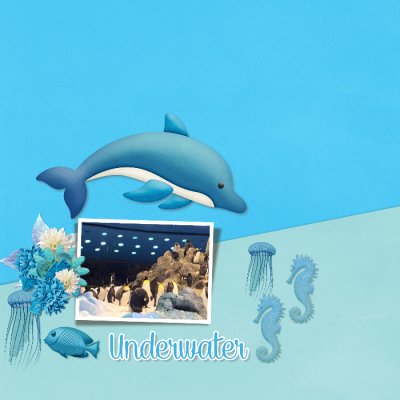 Aquarium
