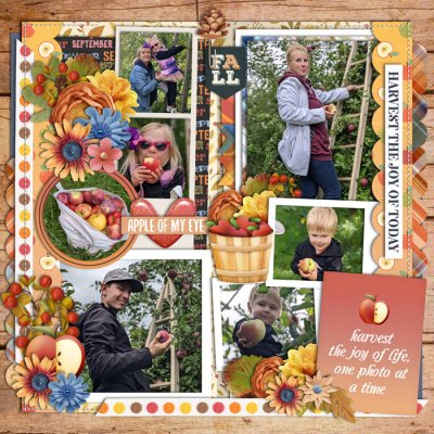 Apple picking
