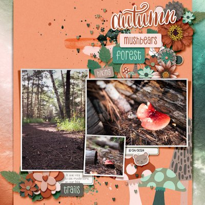 Autumn