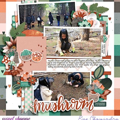 mushroom foraging