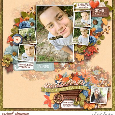 Autumn Leaves and Pumpkins Please