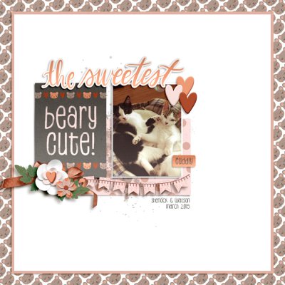 beary cute