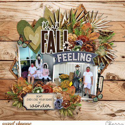 That Fall Feeling