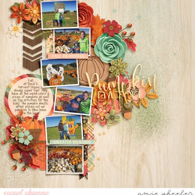 Pumpkin Patch