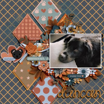 duncan