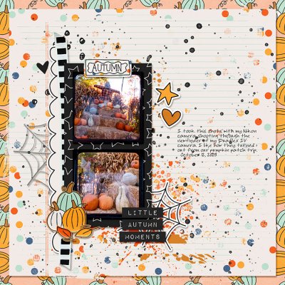 Little Autumn Moments