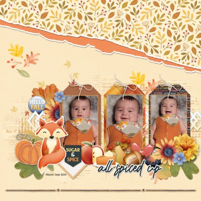 6 months old