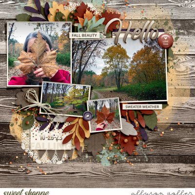 Hello Fall Beauty
