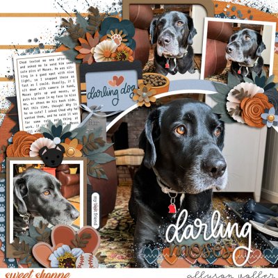 Darling Moses