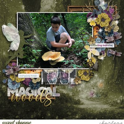 Magical Woods