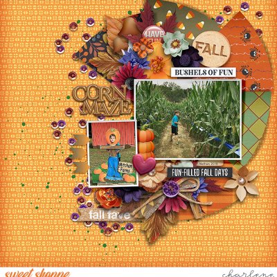 Corn Maze