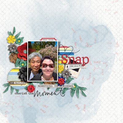 Snap Shot