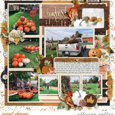 Harvest Delights