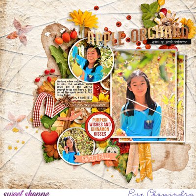 apple orchard