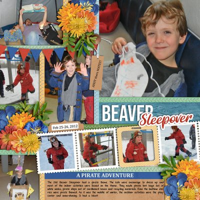Beaver Sleepover