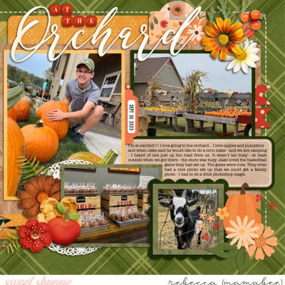 2023_9_30-the-orchard-cschneider-DTF29_right