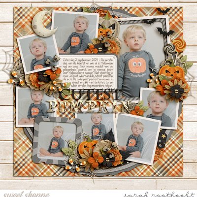 Cutest Pumpkin
