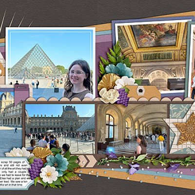The Louvre 1
