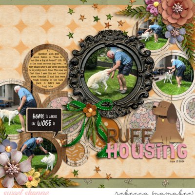 Ruff Housing