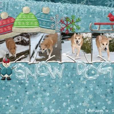 Snow Dog