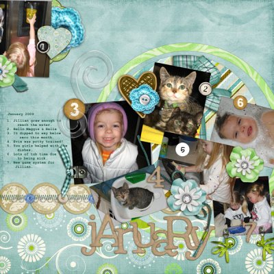 January Review 2009