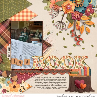 in a book