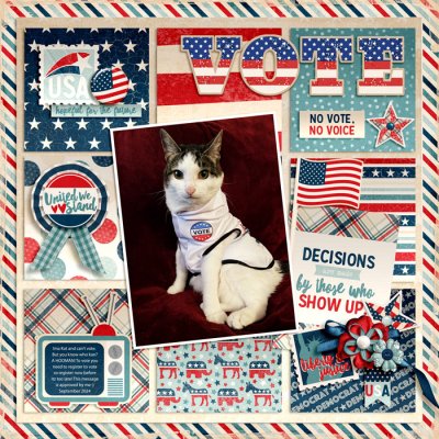 vote