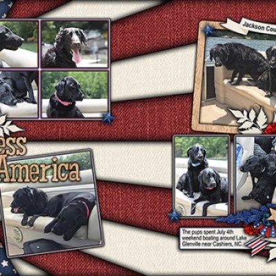 Dog Bless America