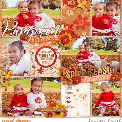 SSD-KL-2010_11-SweetPumpkins-copy