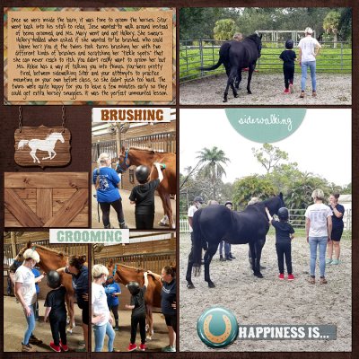 unmounted lesson - right