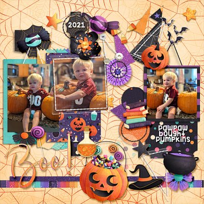 finn-pumpkins-pawpaws-house