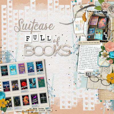 Suitcase Full of Books