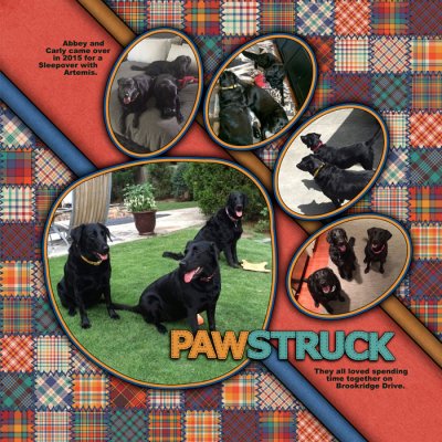 Pawstruck
