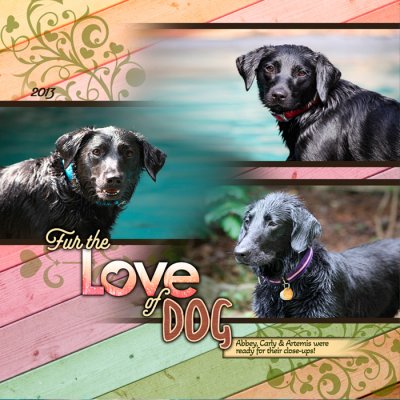 Fur the Love of Dog