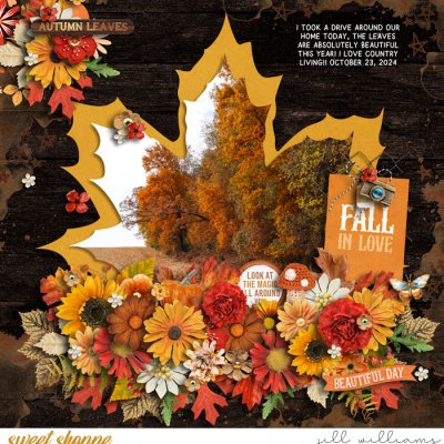 Fall in the Country