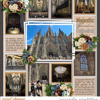Barcelona Cathedral 1