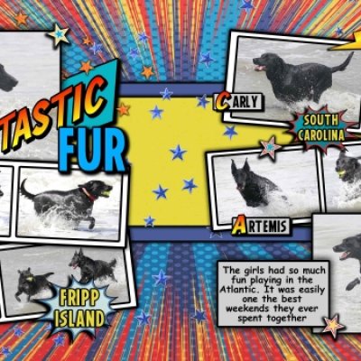 FantasticFur