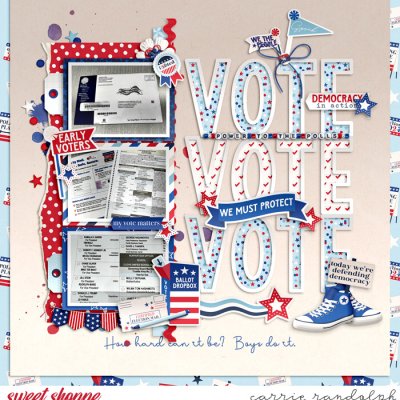 Vote Vote Vote